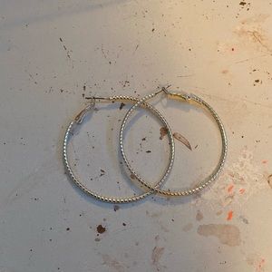 Silver Hoop Ear Rings